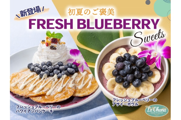 新メニューが登場！「ラ・オハナ」のブルーベリーパンケーキを楽しもう