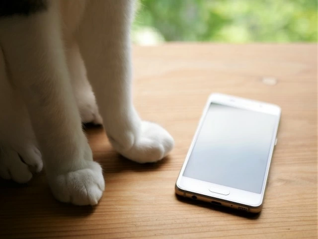 SNSで知った、私が大切にしたいつながり