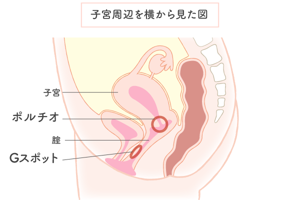 自信を奪うものについて 子供時代と大人時代 なりたい私に近づいていく ポジティブ アートプログラム