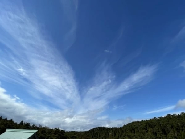 鳳凰雲のスピリチュアルな意味とは？ 隠されたメッセージ5つ｜「マイナビウーマン」