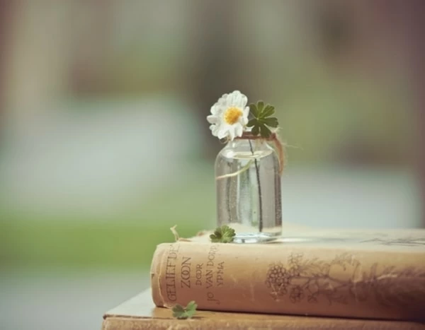 ご厚意 と ご好意 の違いは 意味と正しい使い方を紹介 1ページ目 マイナビウーマン