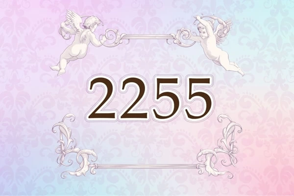 ⭐️K⭐️様リクエスト⭐️2255 2255】エンジェルナンバーの意味は？ ～恋愛・金運・仕事運・健康運