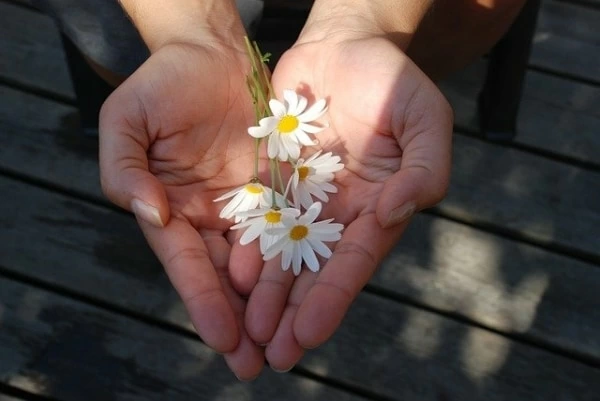 告白で花束を渡すのはアリ もらう人の心理とおすすめの花言葉 マイナビウーマン